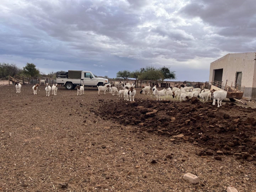 1 Bedroom Property for Sale in Kenhardt Northern Cape